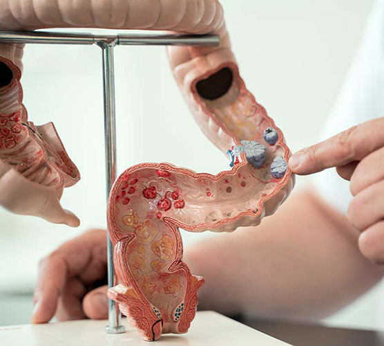 Dr. Julio César Rosiles Domínguez